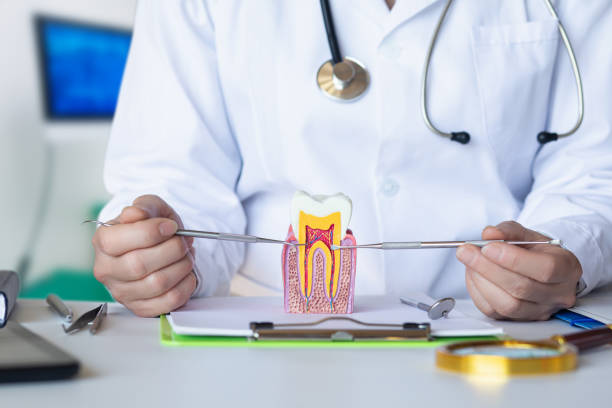 Best Dentist for Dental Trauma  in Kittanning, PA